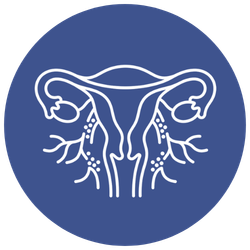 Uterine Artery Embolisation (UAE)